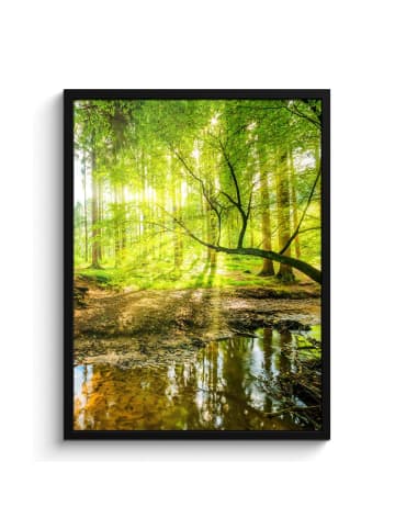 MuchoWow Poster mit Leiste Waldlicht  (BxH)
