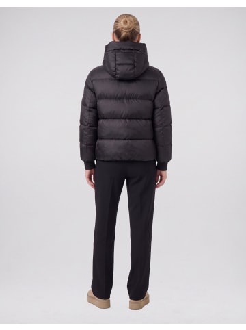 No.1 Como Steppjacke SCOTTIA in BLACK