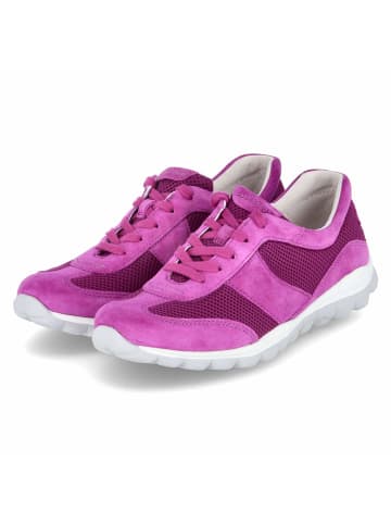 Gabor Low Sneaker in Lila