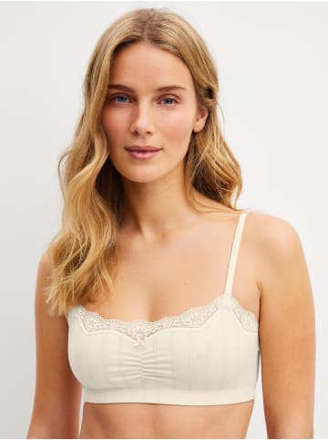 Calida Bustier in charm cream