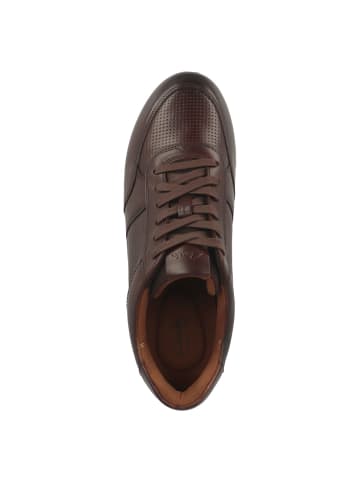 Clarks Sneaker low Radwell Tie in braun