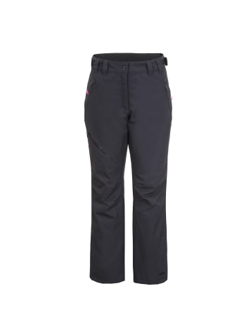 Icepeak Skihose in Grau