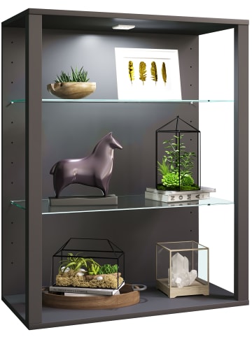 VCM  olz Glas Stand Vitrine Sammelvitrine Glasol LW in Anthrazit