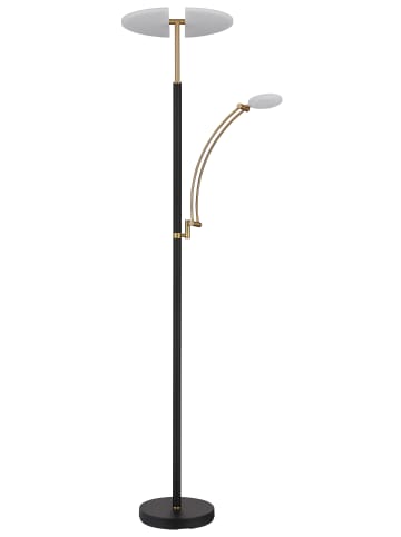 Globo lighting Deckenfluter "TIRANA" in black