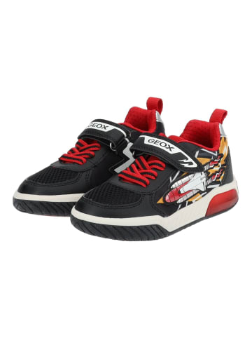 Geox Sneaker in Schwarz/Rot