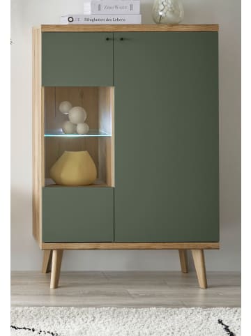Furn.Design Highboard Salbei, Eiche Evoke, skandinavisch 90 x 134 cm, Kommode 2-türig