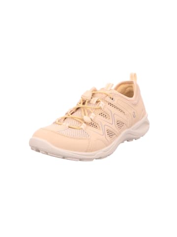 Ecco Schnürschuh in beige