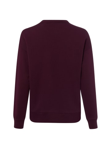 Gant Sweatshirt in aubergine