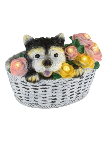 Globo lighting Solarleuchte "SOLAR" in multicolored