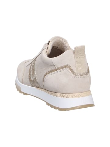 Paul Green Sneaker in beige