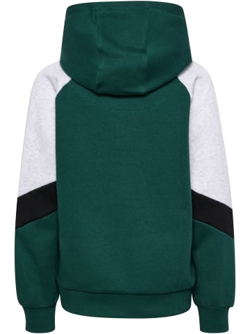 Hummel Kapuzenpullover Raglanärmel Hmljr Loose Kinder in JUNE BUG