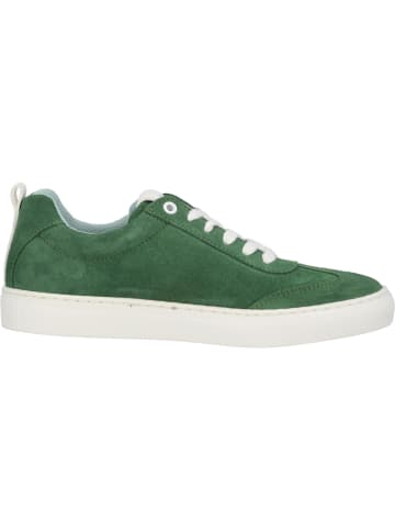 Palado Sneakers Low Vebax in Grün