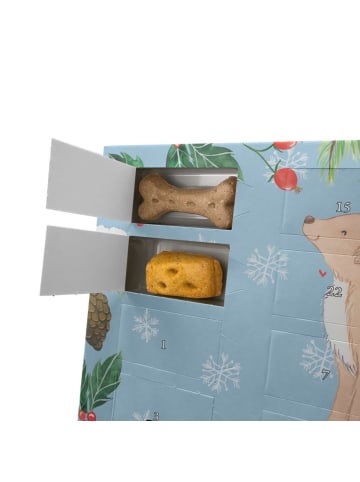 Mr. & Mrs. Panda Adventskalender Hund Nova Scotia Duck Moment mi... in Eisblau