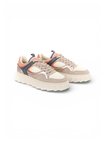 Apple of Eden Sneaker LIMA in DK GREY-CHAMPAGNE