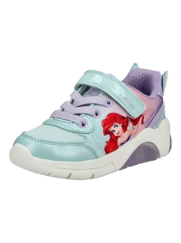 Geox Sneaker in Blau/Multi