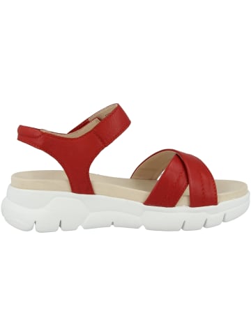 Gerry Weber Sandale Arzignano 10 in rot