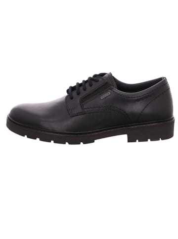 Gabor Schnürschuhe in schwarz