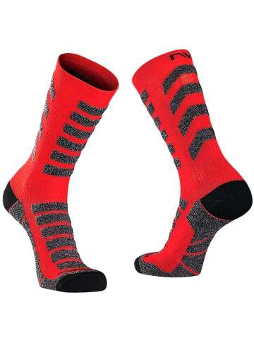 NORTHWAVE Socke in Rot