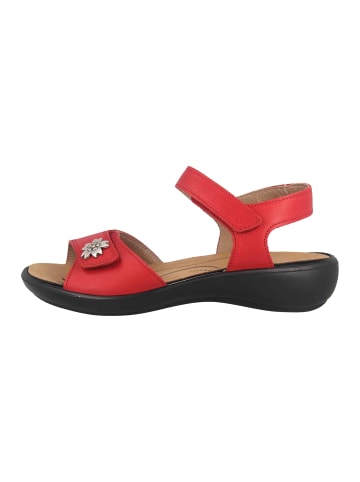 WESTLAND Sandalen in Rot