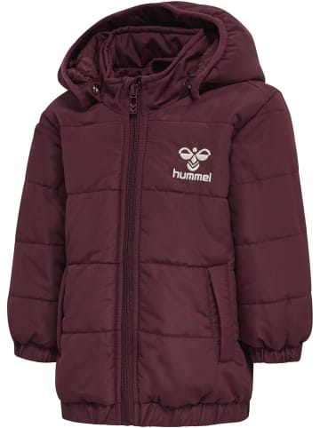 Hummel Hummel Jacke Hmlvibe Jungen Wasserabweisend Und Windabweisend in WINDSOR WINE