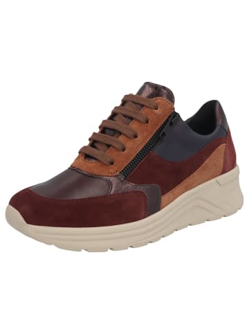 Solidus Damen- Schnürschuhe Holly Weite H in Braun
