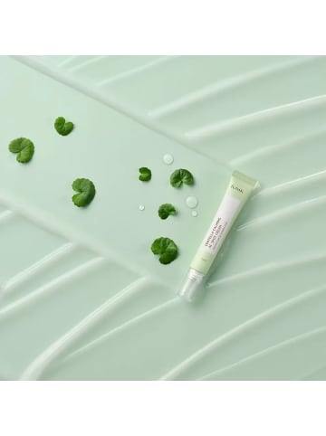 IUNIK Gesichtscreme Centella Calming AC Spot Face Cream, 20 ml