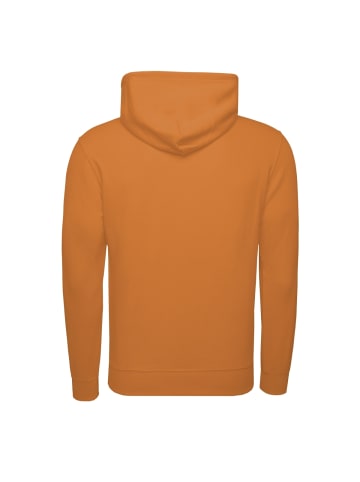 Champion Kapuzenpullover Hooded in orange