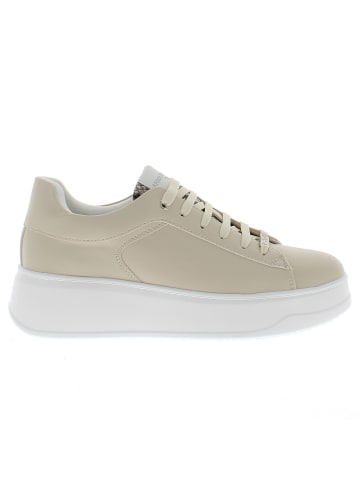 Armata di Mare Sneaker AMDS61H36-WHTGROCKSILVER Beige