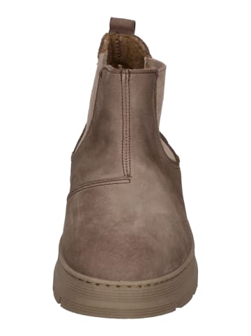 natural world Chelsea Boots PEONIA  7182 in natur