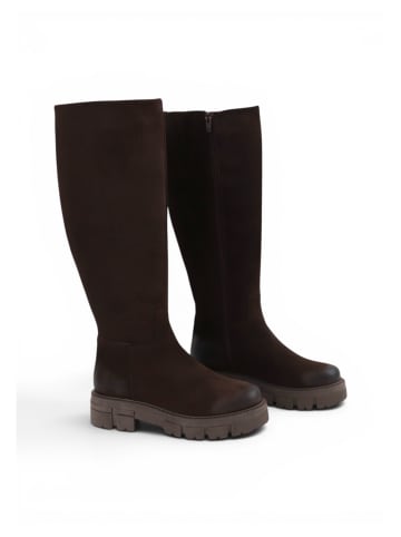 Apple of Eden Stiefel AOEGIGI in TDM