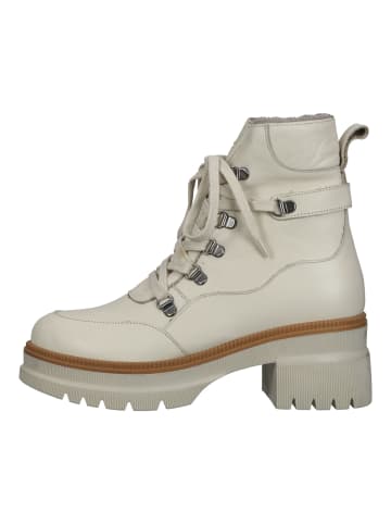ILC Stiefelette in Beige