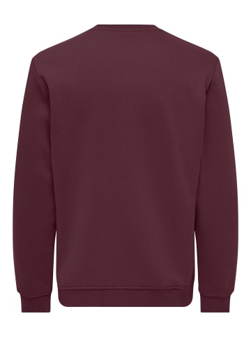 ONLY & SONS Sweatshirt in Port Royale 1