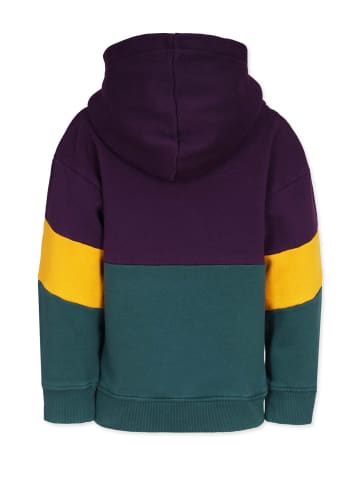 Band of Rascals Sweatwear " Polychrome " in dark-purple-racing-green