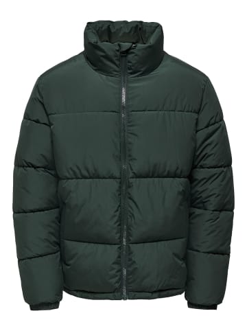 ONLY & SONS Daunenjacke in Darkest Spruce 1