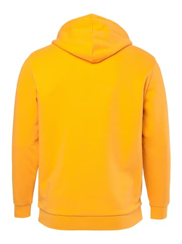 JP1880 Sweatshirt in karotte