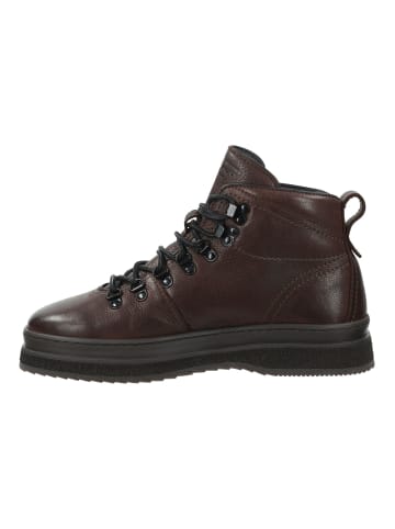 Stiefelette Dunkelbraun