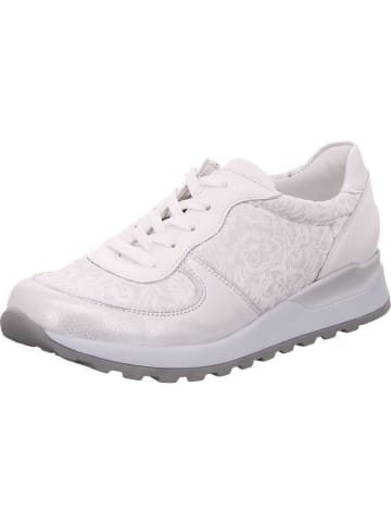 Cetti Sneaker in braun