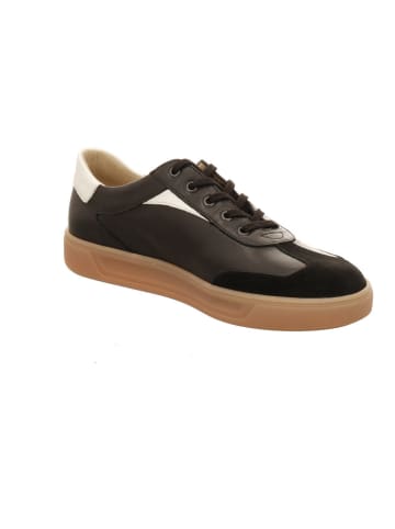 Finn Comfort Sneaker Low in schwarz