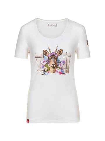 Almgwand Miesenbachalm in Weiß