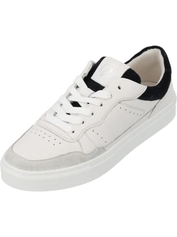 palado Sneakers Low in white