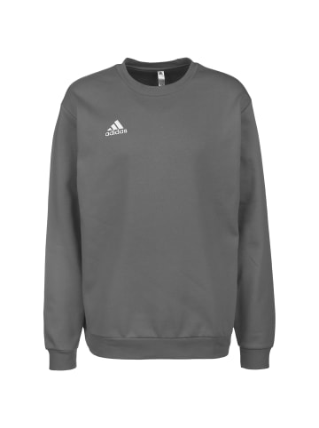 adidas Performance Sweatshirt Entrada 22 in grau