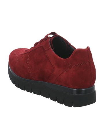 Semler Komfort Schnürschuhe in Rot