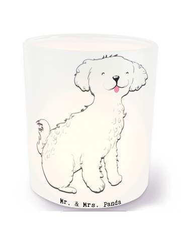 Mr. & Mrs. Panda Outdoor Windlicht Bichon Frisé Lebensretter ohn... in Transparent