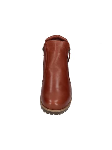 Andrea Conti Stiefeletten 0344818-070 in braun
