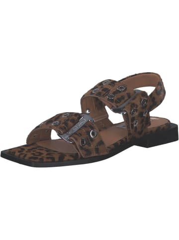 Steve Madden Keilsandaletten in Leopard