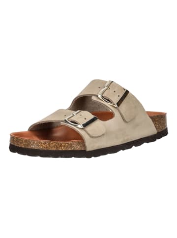 Cosmos Comfort Pantoletten in Taupe