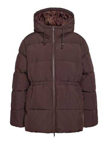 Noisy may Steppjacke Kapuze Reißverschluss Unifarben in Dunkelbraun