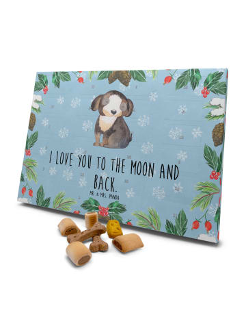 Mr. & Mrs. Panda Hunde Adventskalender Hund Entspannen mit Spruch in Eisblau