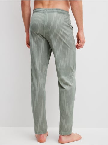 Calida Pants in tea green