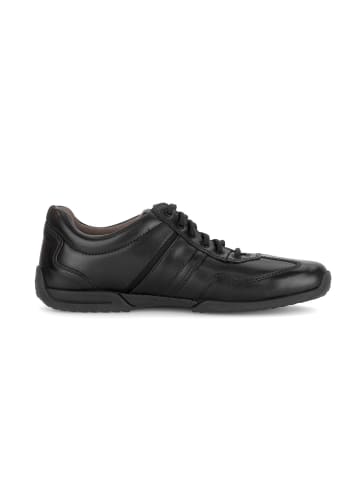 Pius Gabor Sneaker low in schwarz